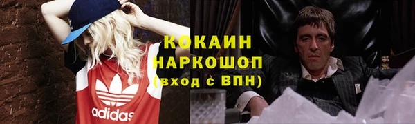 гидра Аркадак
