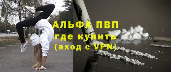 гидра Аркадак
